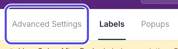 The three tabs at the top of the Customize page: Advanced Settings, Labels and Popups. Advanced Settings is circled.