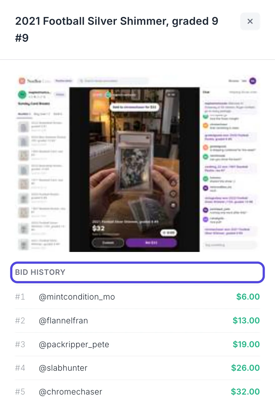 The item panel on the right side of the window with the auction photo on top and the bid history below it, listing each bid number, bidder and amount. The Bid history heading is circled.